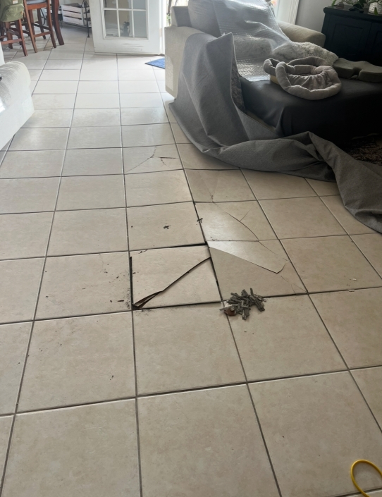 Copy of IMG_8878 House Damage