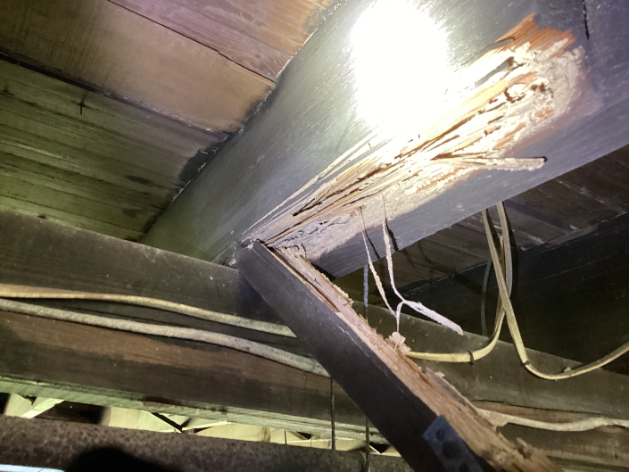 IMG_2078 House Damage