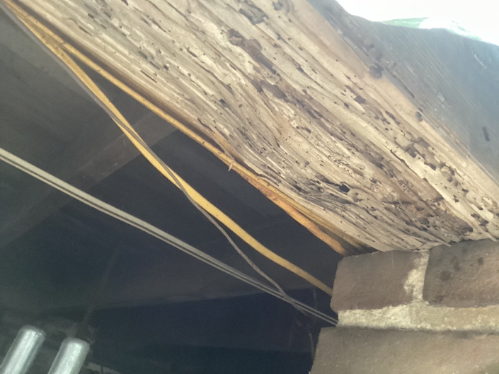 IMG_2971 House Damage