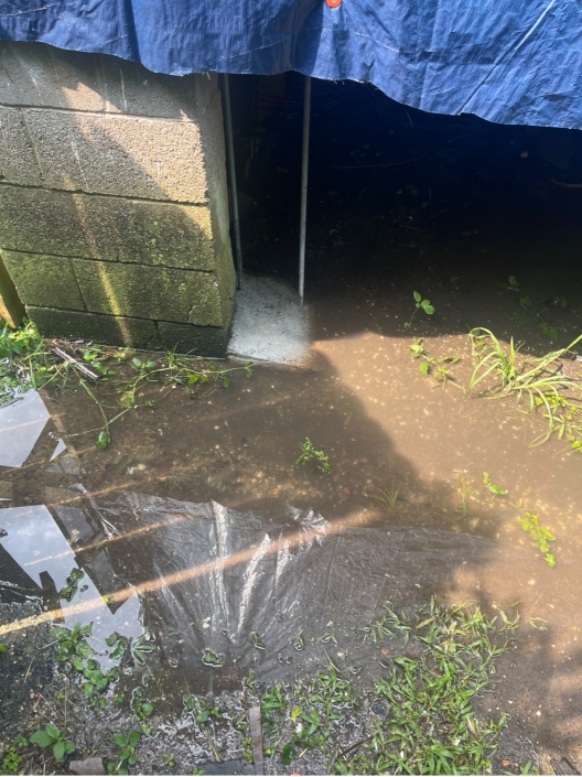 IMG_9354 House Damage