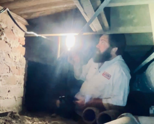 Professional Inspections-Foundation Repair Near me-New Orleans-Shoring Contractor-House Leveling