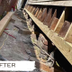 After Foundation Repair-Sill/Beam Replacement in New Orleans